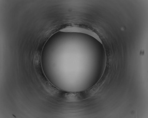 X0000091210129200708231616