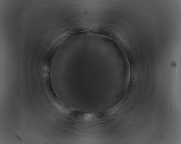 X0000091210130200708231616