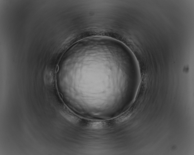 X0000091210131200708231616