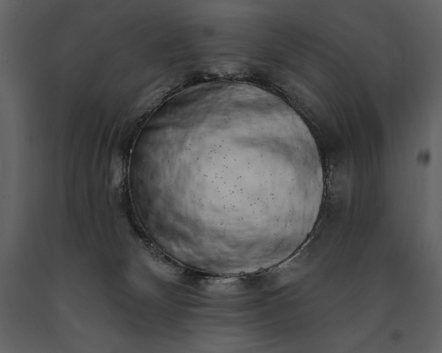 X0000091210132200708231616