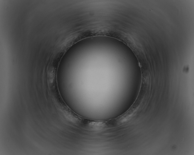 X0000091210133200708231616