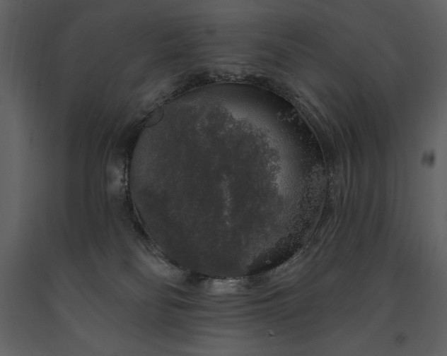 X0000091210134200708231616