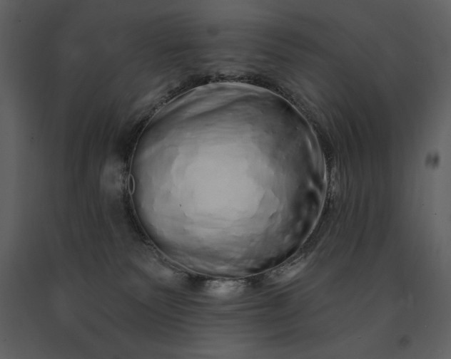 X0000091210135200708231616