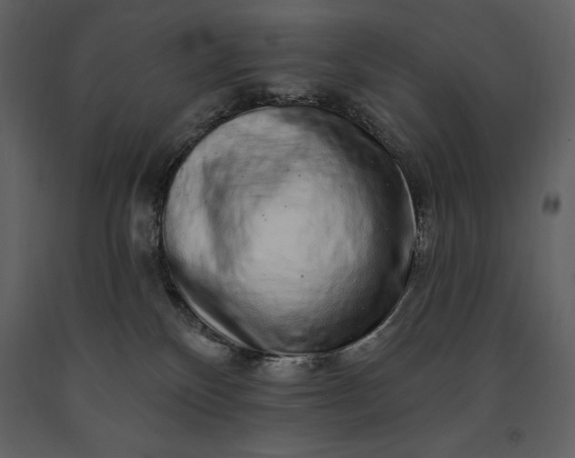 X0000091210136200708231616