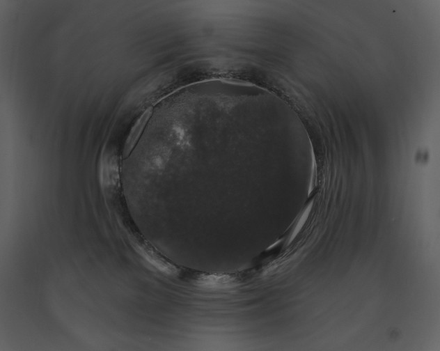 X0000091210137200708231616