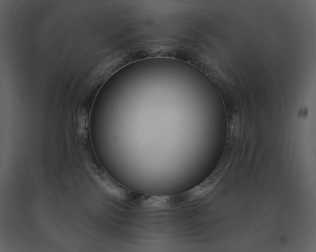 X0000091210138200708231616