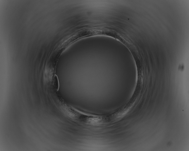 X0000091210139200708231616