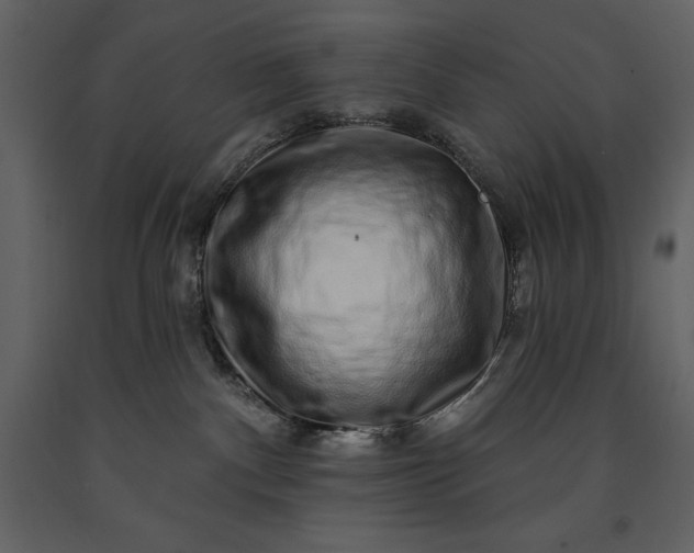 X0000091210140200708231616