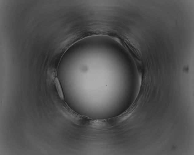 X0000091210141200708231616