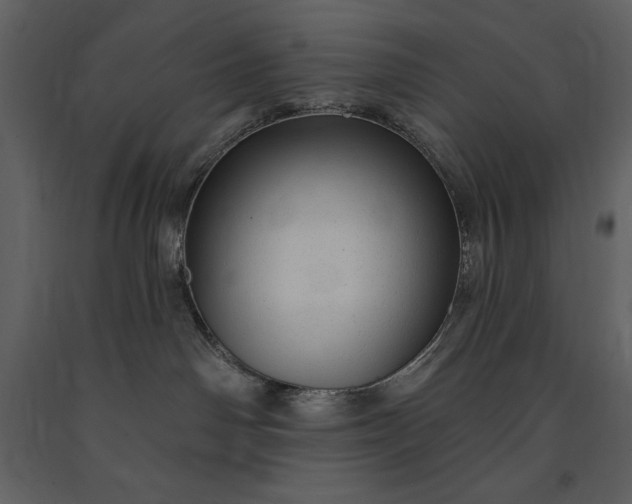 X0000091210142200708231616