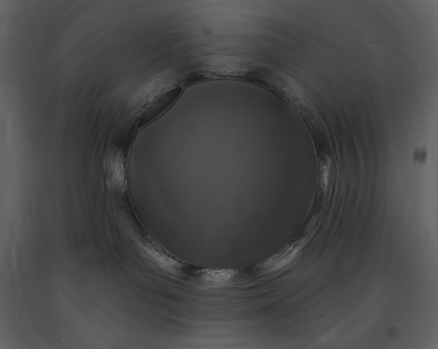 X0000091210143200708231616