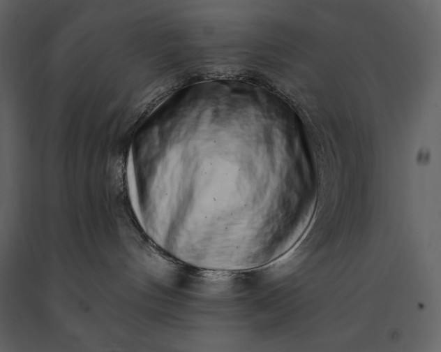 X0000091210144200708231616