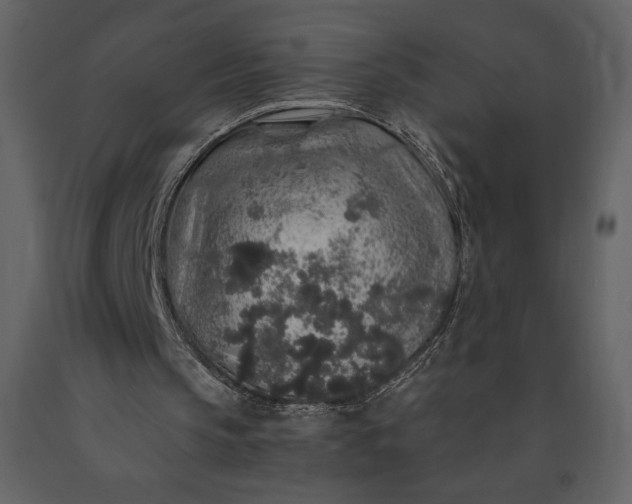 X0000091210145200708231615