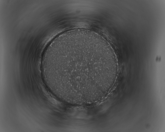 X0000091210146200708231615