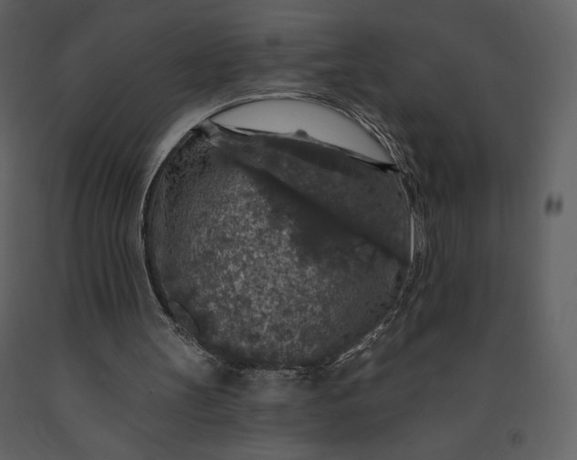 X0000091210147200708231615