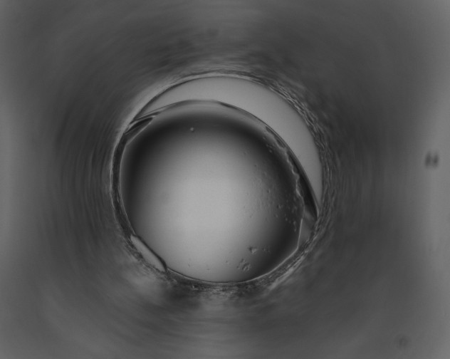 X0000091210148200708231615