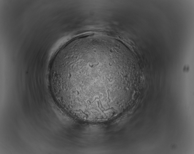 X0000091210149200708231615