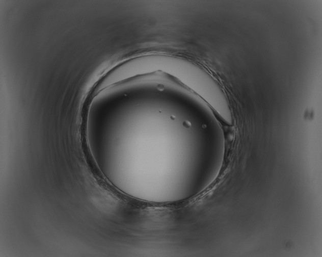 X0000091210150200708231615