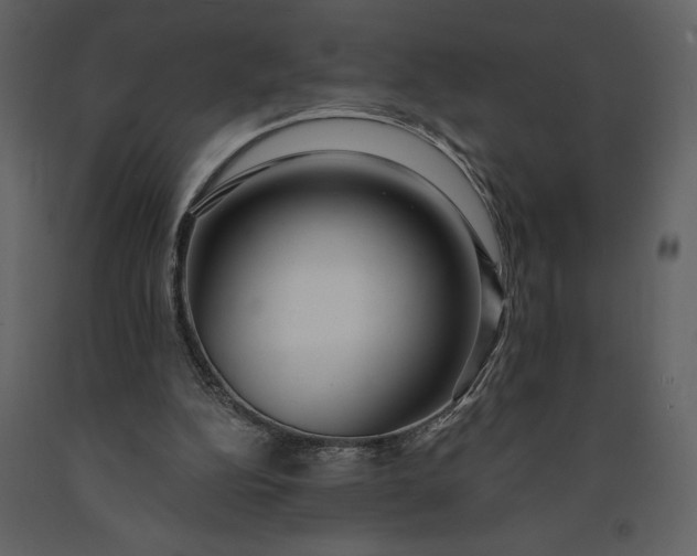 X0000091210152200708231616