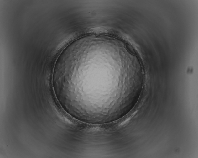 X0000091210153200708231616