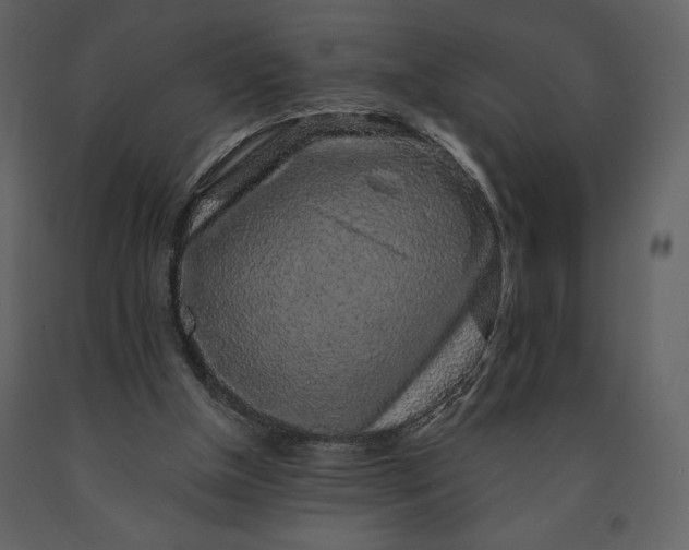 X0000091210154200708231616