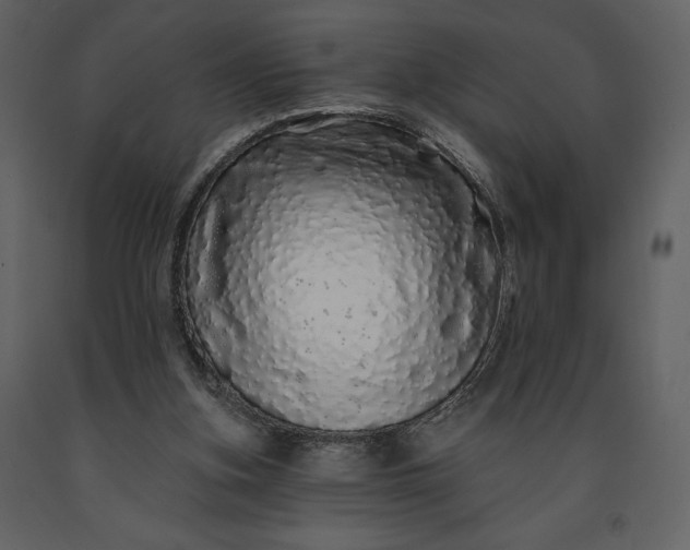 X0000091210155200708231616