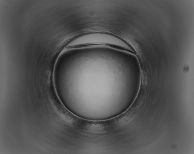 X0000091210157200708231616