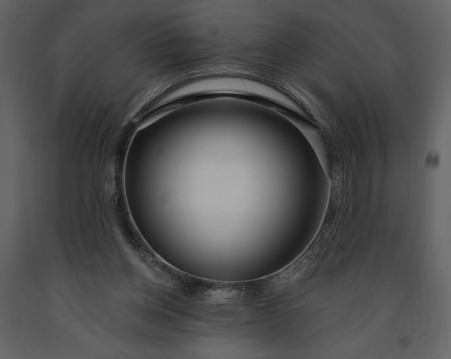 X0000091210158200708231616