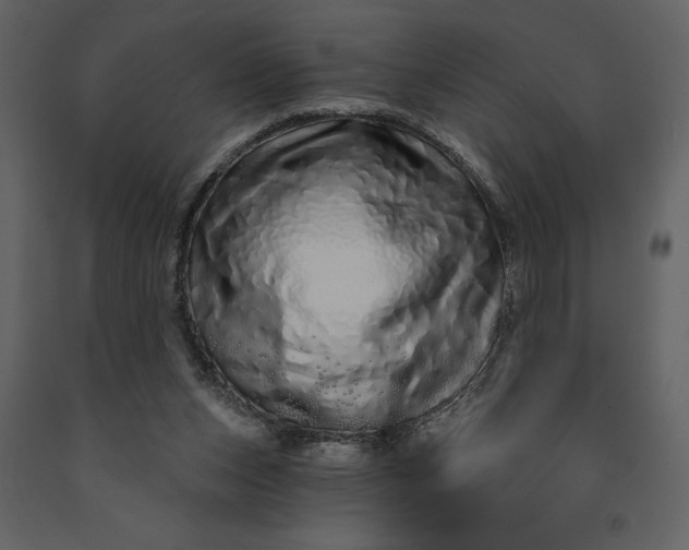 X0000091210159200708231616