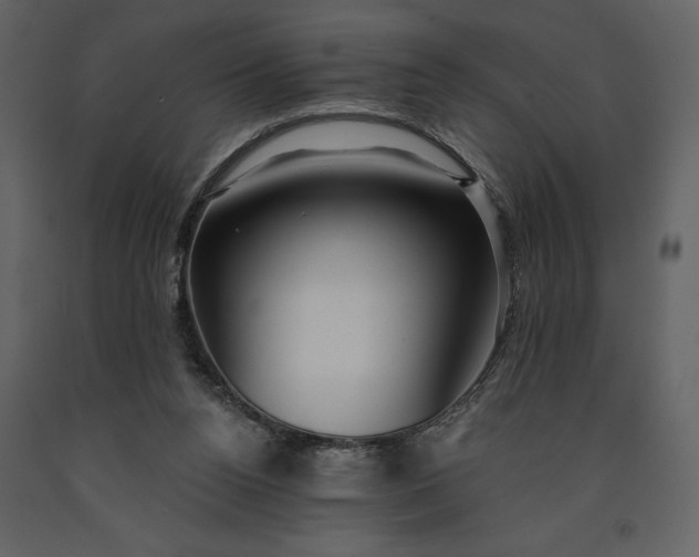 X0000091210160200708231616