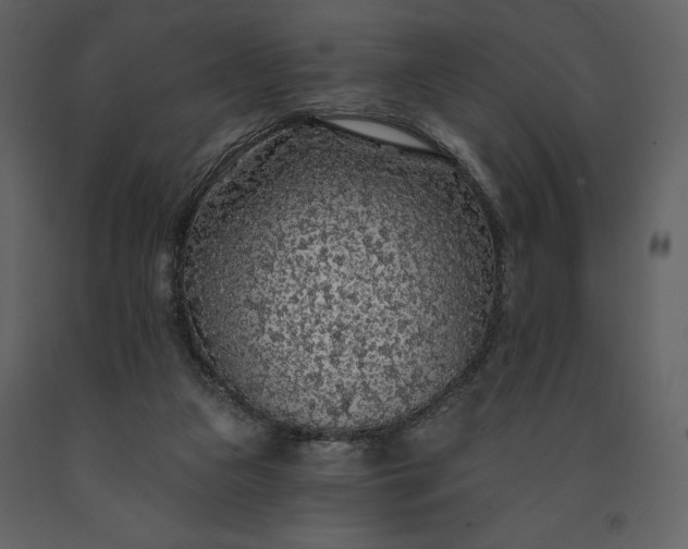 X0000091210161200708231616