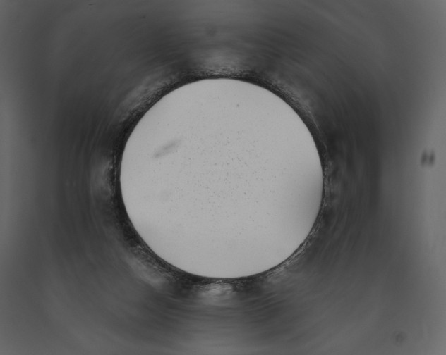 X0000091210162200708231616