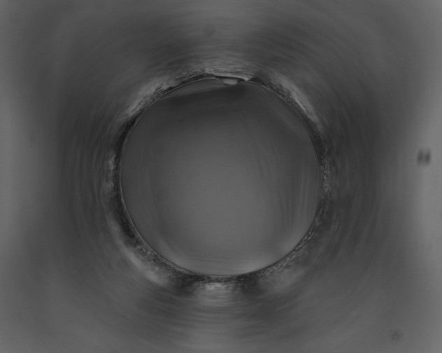 X0000091210163200708231616