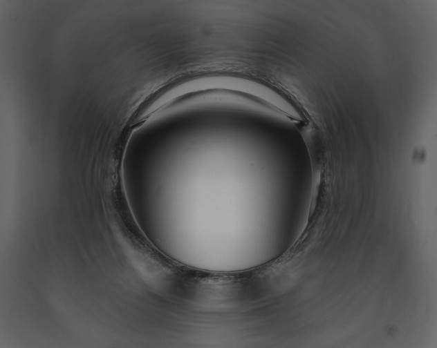 X0000091210164200708231616