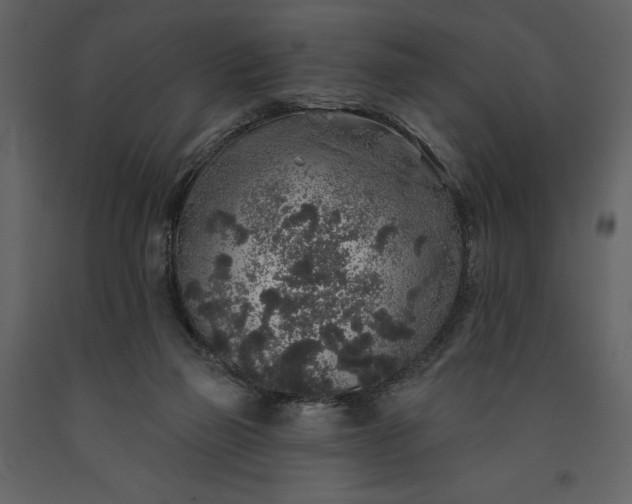 X0000091210165200708231616