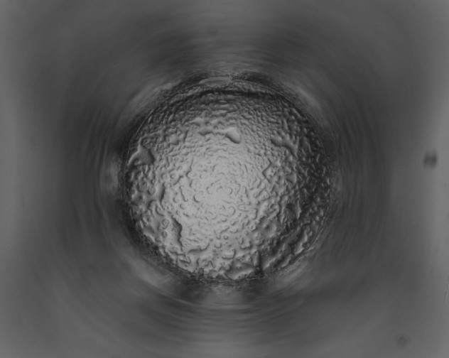 X0000091210166200708231616