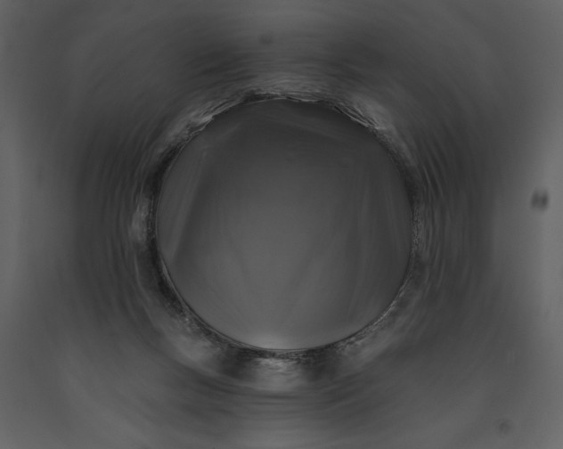 X0000091210167200708231616