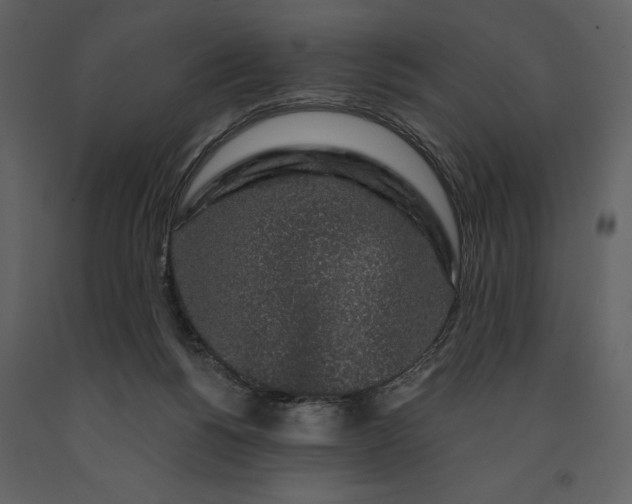 X0000091210168200708231616