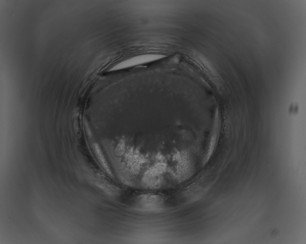 X0000091210169200708231616