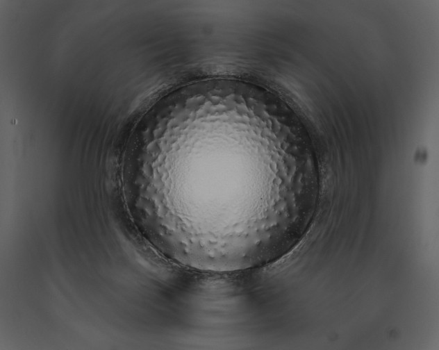 X0000091210171200708231616