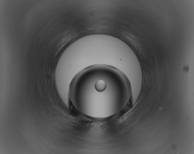 X0000091210172200708231616