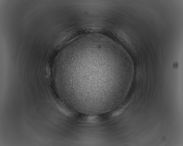 X0000091210173200708231616