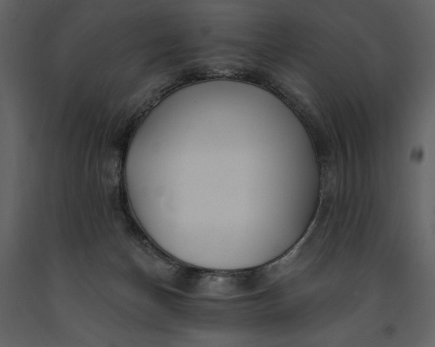 X0000091210174200708231616