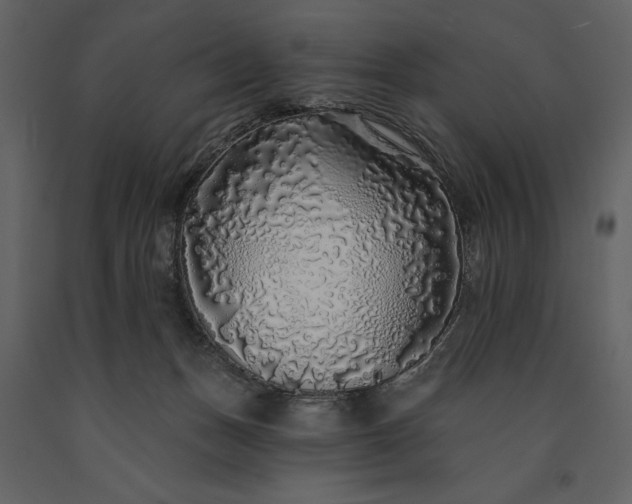 X0000091210175200708231616