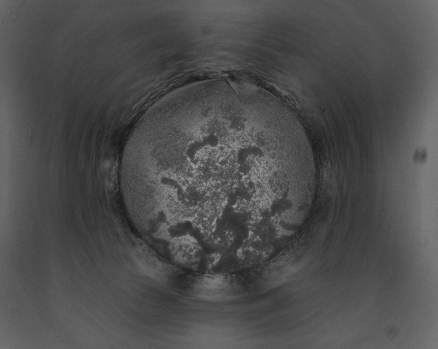 X0000091210177200708231616