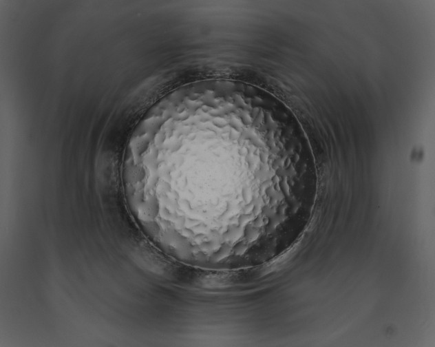 X0000091210178200708231616