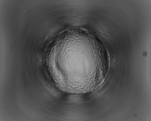 X0000091210179200708231616