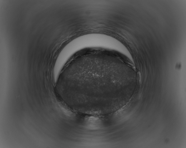 X0000091210180200708231616