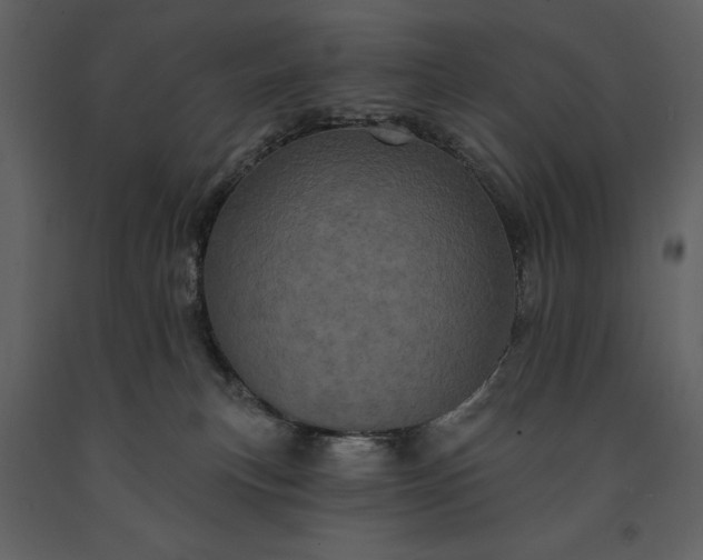 X0000091210183200708231616