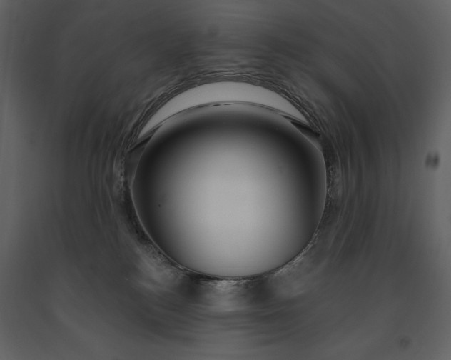 X0000091210184200708231616